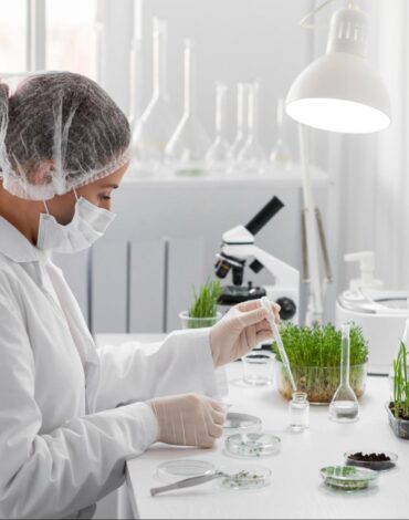 Generic Bacopa