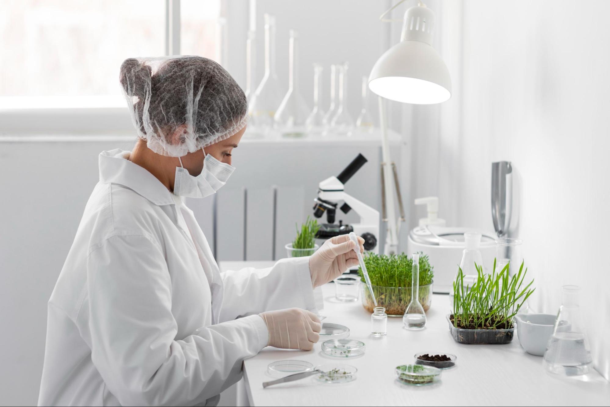 Generic Bacopa