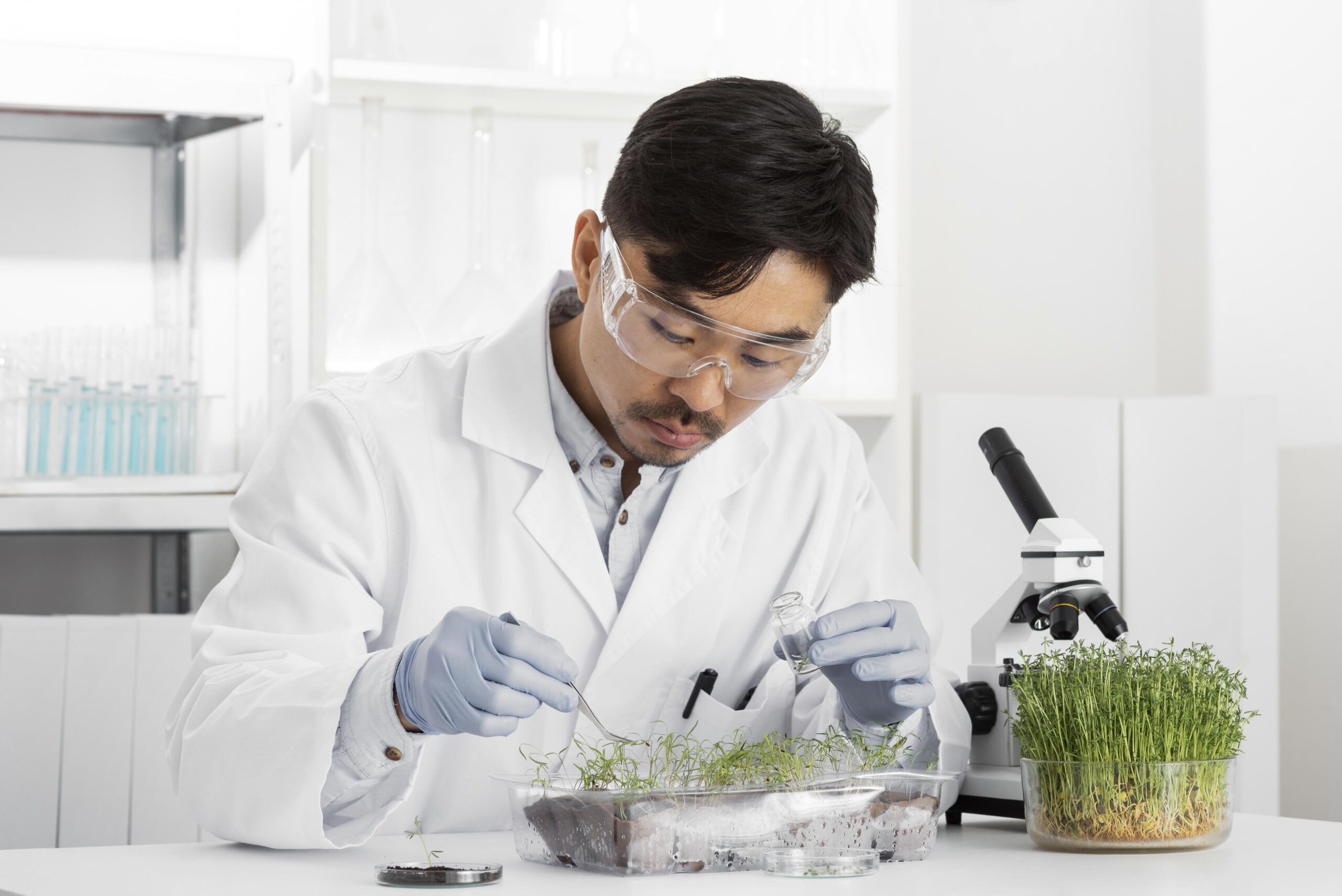 Benefits of Tulsi Extract